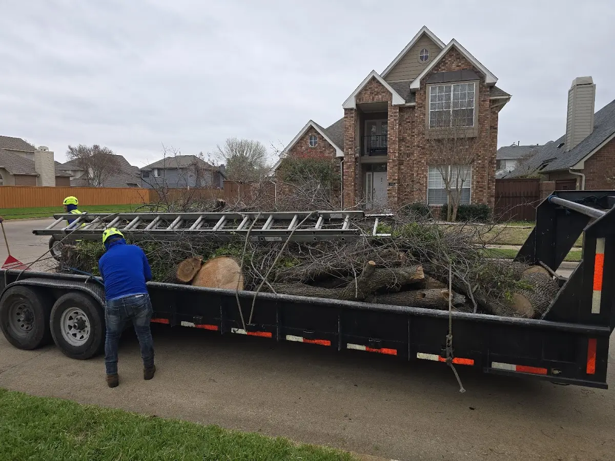 Expert Tree Pest Control with proper safety equipment in Parkin